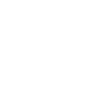 to icon 1